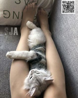 欧美婬荡的护士hd中文字幕s_BD英语天堂在线